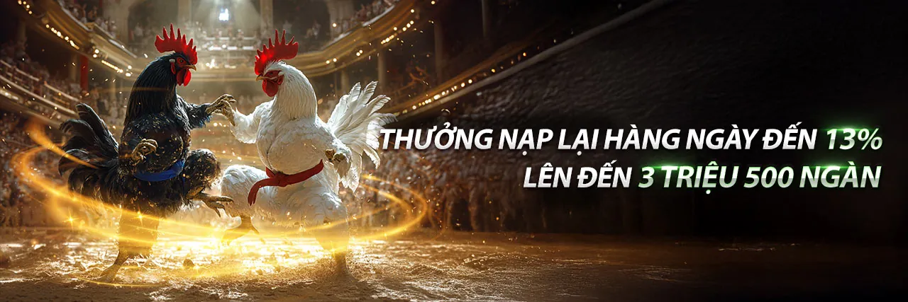 Đá Gà Trực Tuyến Sôi Động tại vip789 link mới